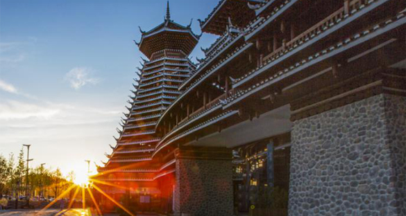 ��ϵ����